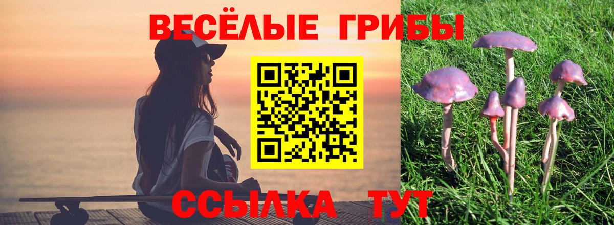 Псилоцибиновые грибы MAGIC MUSHROOMS  Вход с VPN  Славгород 